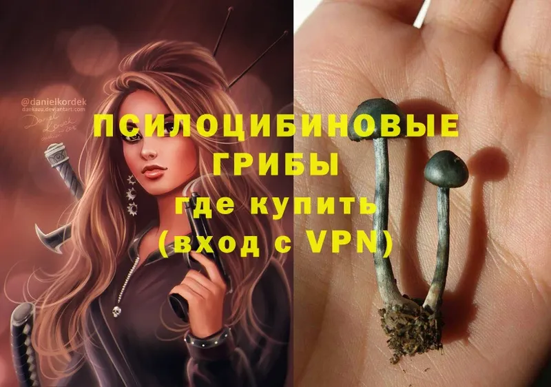 даркнет сайт  Бирюсинск  Галлюциногенные грибы Psilocybe 